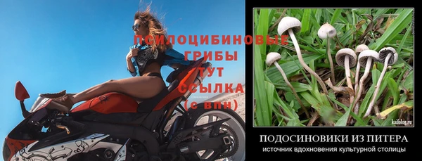 скорость mdpv Ельня