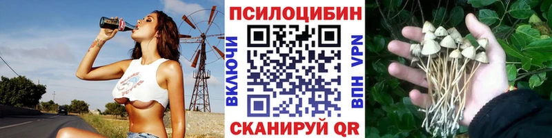 Псилоцибиновые грибы мухоморы  Новомичуринск 